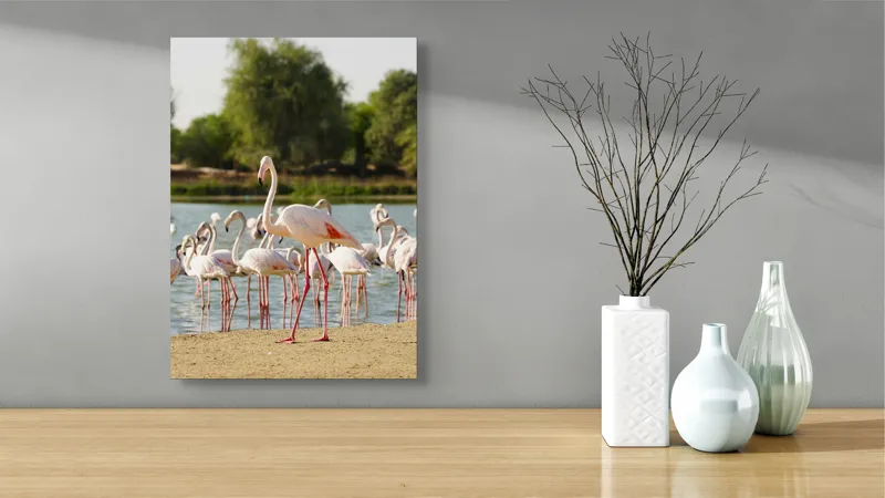 Tablou Canvas, "Grația flamingo la apus de soare", Flamingo, Lac, Nisip, Verdeturi, Cer, Pene, Picioare, Grup, Apa, Peisaj, 39 x 54 cm – poza 4