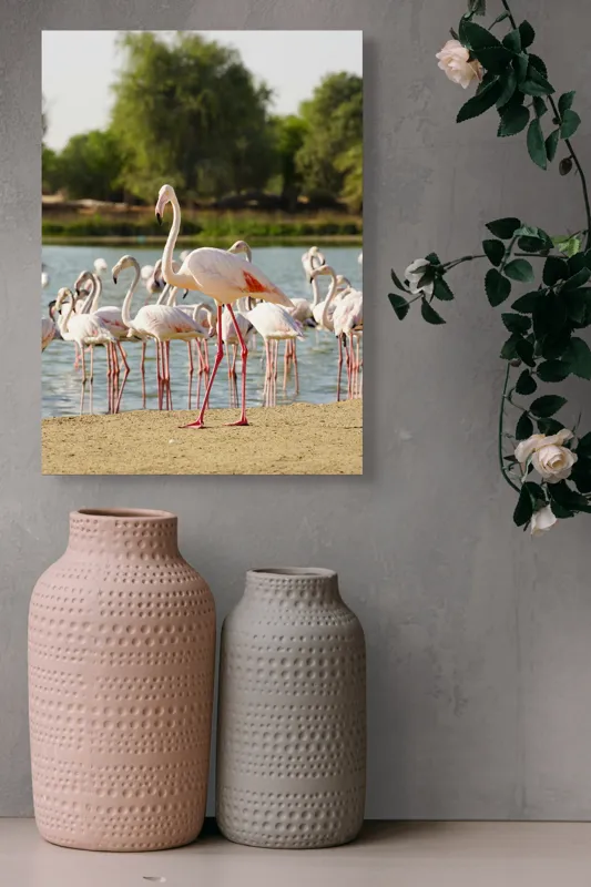 Tablou Canvas, "Grația flamingo la apus de soare", Flamingo, Lac, Nisip, Verdeturi, Cer, Pene, Picioare, Grup, Apa, Peisaj, 39 x 54 cm – poza 6