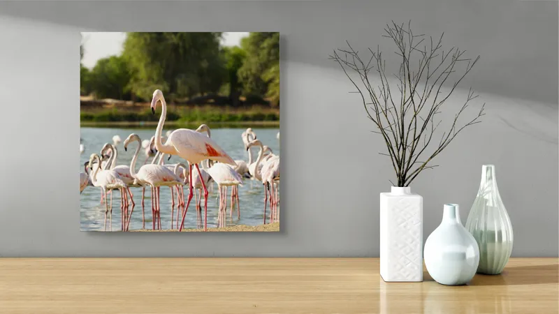 Tablou Canvas, "Grația flamingo la apus de soare", Flamingo, Lac, Nisip, Verdeturi, Cer, Pene, Picioare, Grup, Apa, Peisaj, 50 x 50 cm – poza 3