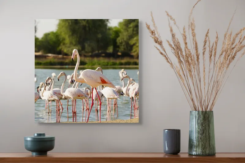 Tablou Canvas, "Grația flamingo la apus de soare", Flamingo, Lac, Nisip, Verdeturi, Cer, Pene, Picioare, Grup, Apa, Peisaj, 50 x 50 cm – poza 4
