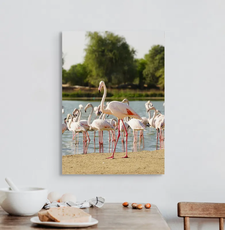 Tablou Canvas, "Grația flamingo la apus de soare", Flamingo, Lac, Nisip, Verdeturi, Cer, Pene, Picioare, Grup, Apa, Peisaj, 50 x 70 cm – poza 3