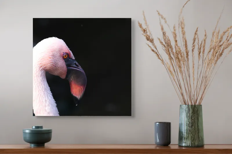Tablou Canvas, "Flamingo în lumina dimineții", Flamingo, Roz, Penaj, Elegant, Grațios, Profil, Delicat, 50 x 50 cm – poza 4