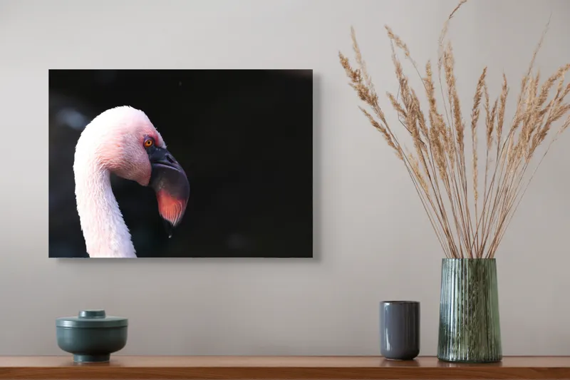 Tablou Canvas, "Flamingo în lumina dimineții", Flamingo, Roz, Penaj, Elegant, Grațios, Profil, Delicat, 54 x 39 cm – poza 4