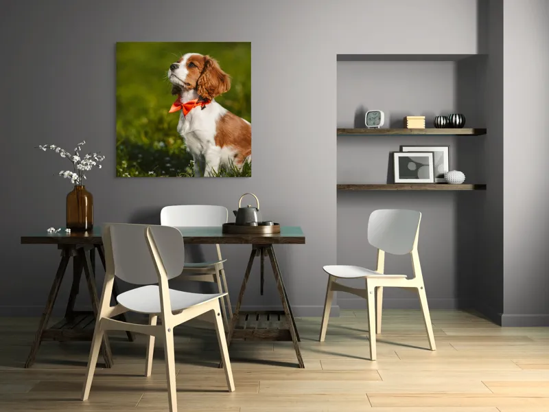 Tablou Canvas, "Cățel în grădină purtând eșarfă roșie", Cățel, Verdeață, Eșarfă, Blană, Natură, Soare, Drăgălaș, Curios, Exterior., 100 x 100 cm – poza 6