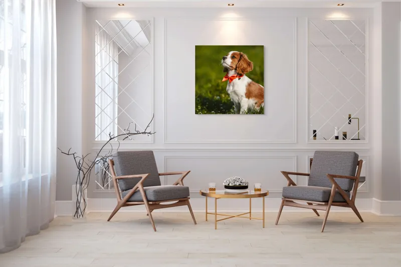 Tablou Canvas, "Cățel în grădină purtând eșarfă roșie", Cățel, Verdeață, Eșarfă, Blană, Natură, Soare, Drăgălaș, Curios, Exterior., 100 x 100 cm – poza 7