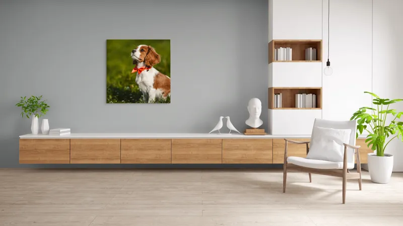 Tablou Canvas, "Cățel în grădină purtând eșarfă roșie", Cățel, Verdeață, Eșarfă, Blană, Natură, Soare, Drăgălaș, Curios, Exterior., 100 x 100 cm – poza 8