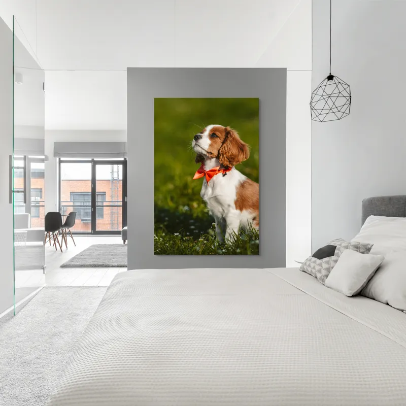 Tablou Canvas, "Cățel în grădină purtând eșarfă roșie", Cățel, Verdeață, Eșarfă, Blană, Natură, Soare, Drăgălaș, Curios, Exterior., 100 x 150 cm – poza 5