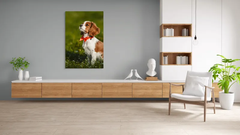Tablou Canvas, "Cățel în grădină purtând eșarfă roșie", Cățel, Verdeață, Eșarfă, Blană, Natură, Soare, Drăgălaș, Curios, Exterior., 100 x 150 cm – poza 8