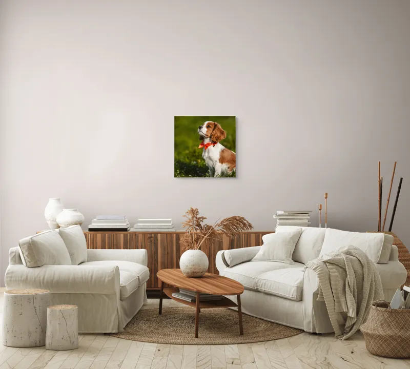 Tablou Canvas, "Cățel în grădină purtând eșarfă roșie", Cățel, Verdeață, Eșarfă, Blană, Natură, Soare, Drăgălaș, Curios, Exterior., 50 x 50 cm – poza 7