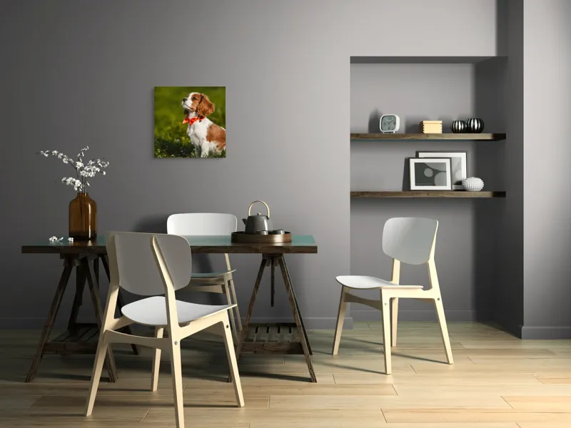 Tablou Canvas, "Cățel în grădină purtând eșarfă roșie", Cățel, Verdeață, Eșarfă, Blană, Natură, Soare, Drăgălaș, Curios, Exterior., 50 x 50 cm – poza 8