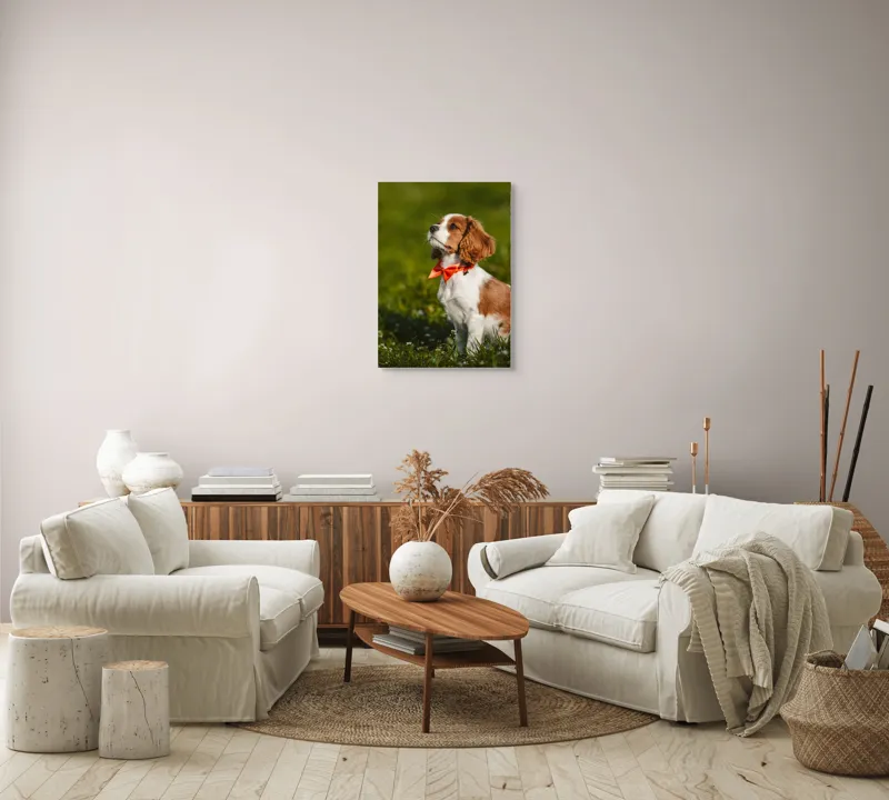 Tablou Canvas, "Cățel în grădină purtând eșarfă roșie", Cățel, Verdeață, Eșarfă, Blană, Natură, Soare, Drăgălaș, Curios, Exterior., 50 x 70 cm – poza 4