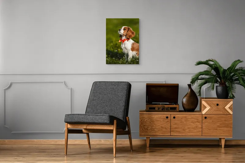 Tablou Canvas, "Cățel în grădină purtând eșarfă roșie", Cățel, Verdeață, Eșarfă, Blană, Natură, Soare, Drăgălaș, Curios, Exterior., 50 x 70 cm – poza 8