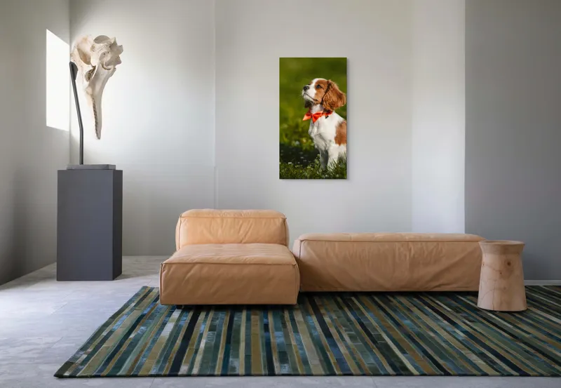 Tablou Canvas, "Cățel în grădină purtând eșarfă roșie", Cățel, Verdeață, Eșarfă, Blană, Natură, Soare, Drăgălaș, Curios, Exterior., 50 x 90 cm – poza 5