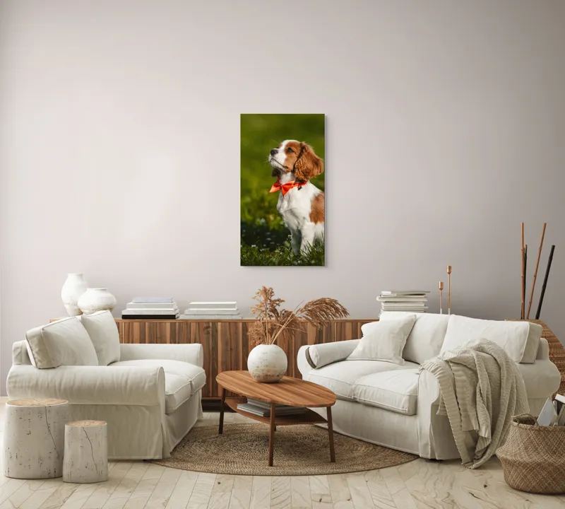 Tablou Canvas, "Cățel în grădină purtând eșarfă roșie", Cățel, Verdeață, Eșarfă, Blană, Natură, Soare, Drăgălaș, Curios, Exterior., 50 x 90 cm – poza 7