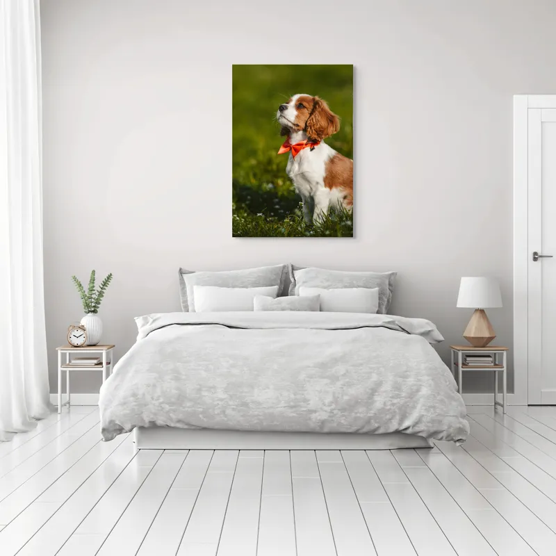 Tablou Canvas, "Cățel în grădină purtând eșarfă roșie", Cățel, Verdeață, Eșarfă, Blană, Natură, Soare, Drăgălaș, Curios, Exterior., 70 x 100 cm – poza 3