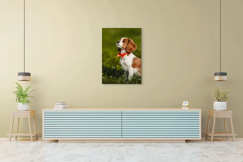 Tablou Canvas, "Cățel în grădină purtând eșarfă roșie", Cățel, Verdeață, Eșarfă, Blană, Natură, Soare, Drăgălaș, Curios, Exterior., 70 x 100 cm – poza 5