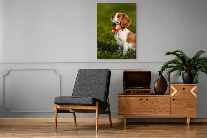 Tablou Canvas, "Cățel în grădină purtând eșarfă roșie", Cățel, Verdeață, Eșarfă, Blană, Natură, Soare, Drăgălaș, Curios, Exterior., 70 x 100 cm – poza 6