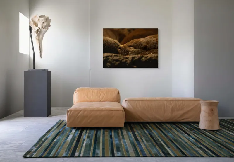 Tablou Canvas, "Vidre odihnindu-se în cuibul lor", Somn, Liniște, Blană, Întuneric, Odihnă, Cald, Relaxare, Natură, Putere, Visare, 100 x 70 cm – poza 7
