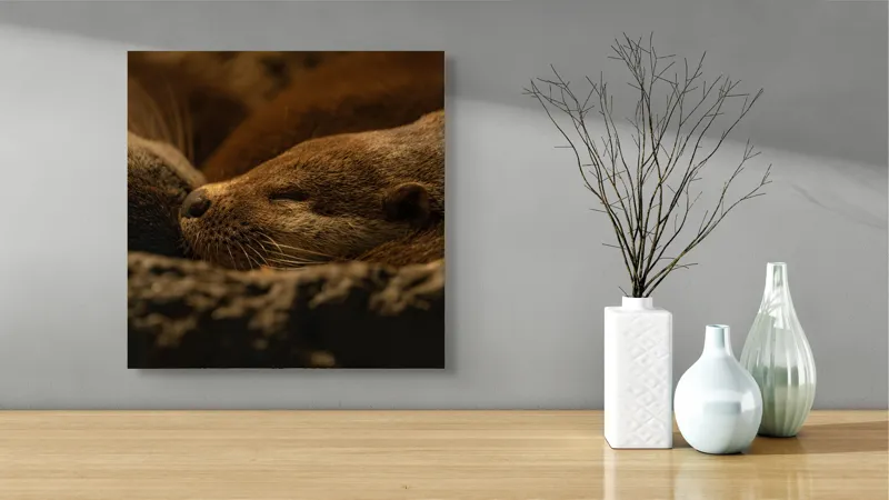 Tablou Canvas, "Vidre odihnindu-se în cuibul lor", Somn, Liniște, Blană, Întuneric, Odihnă, Cald, Relaxare, Natură, Putere, Visare, 50 x 50 cm – poza 3