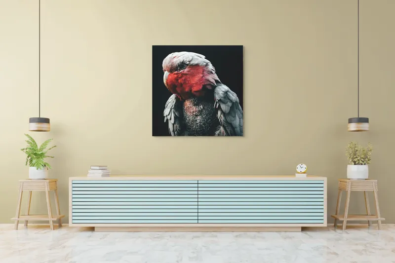 Tablou Canvas, "Papagalul înțelept în lumina serii", I'm not sure who this is in the image., 100 x 100 cm – poza 5