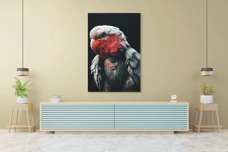 Tablou Canvas, "Papagalul înțelept în lumina serii", I'm not sure who this is in the image., 100 x 150 cm – poza 4
