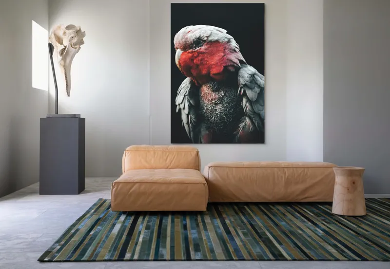 Tablou Canvas, "Papagalul înțelept în lumina serii", I'm not sure who this is in the image., 100 x 150 cm – poza 7