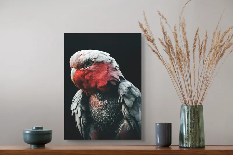 Tablou Canvas, "Papagalul înțelept în lumina serii", I'm not sure who this is in the image., 39 x 54 cm – poza 3