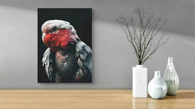 Tablou Canvas, "Papagalul înțelept în lumina serii", I'm not sure who this is in the image., 39 x 54 cm – poza 4
