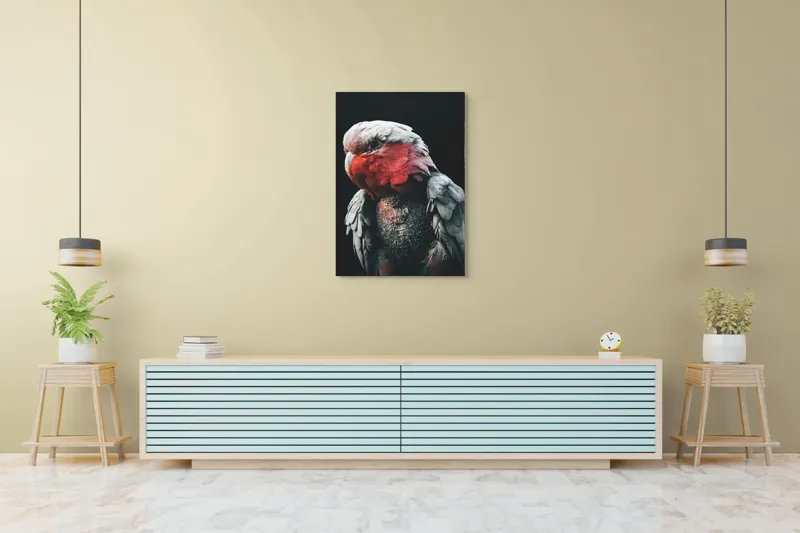Tablou Canvas, "Papagalul înțelept în lumina serii", I'm not sure who this is in the image., 70 x 100 cm – poza 5