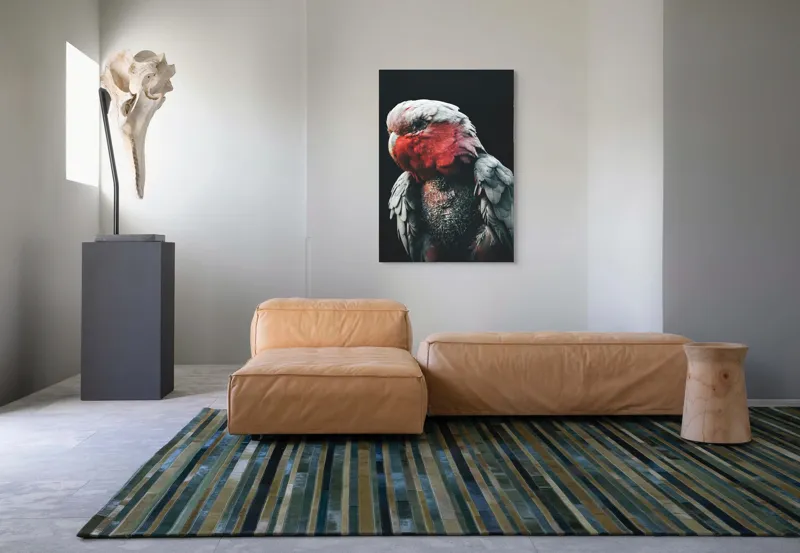 Tablou Canvas, "Papagalul înțelept în lumina serii", I'm not sure who this is in the image., 70 x 100 cm – poza 7