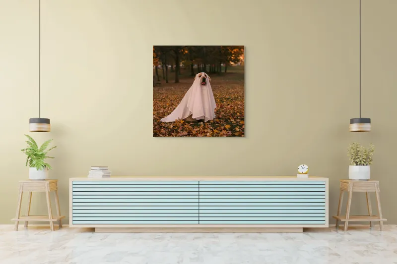 Tablou Canvas, "Câinele fantomă în pădurea de toamnă", Câine, Fantomă, Frunze, Toamnă, Parc, Distracție, Costum, 100 x 100 cm – poza 5