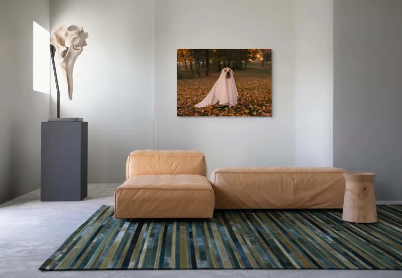 Tablou Canvas, "Câinele fantomă în pădurea de toamnă", Câine, Fantomă, Frunze, Toamnă, Parc, Distracție, Costum, 100 x 70 cm – poza 7