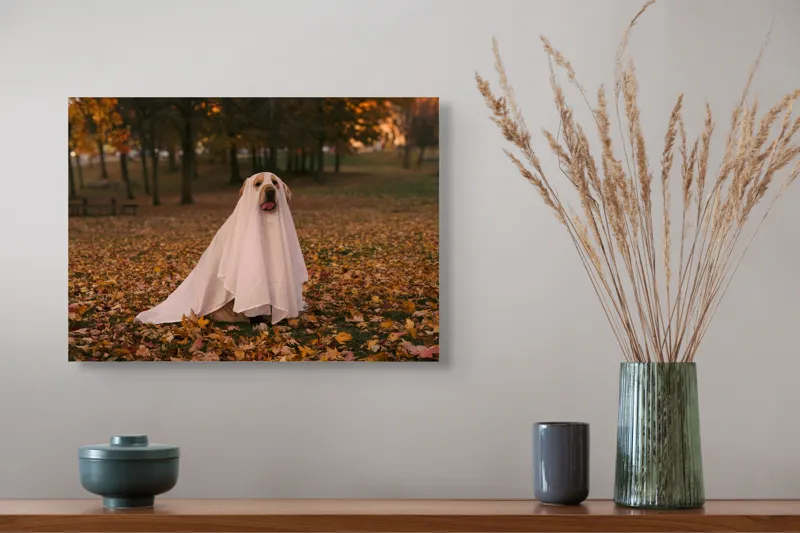 Tablou Canvas, "Câinele fantomă în pădurea de toamnă", Câine, Fantomă, Frunze, Toamnă, Parc, Distracție, Costum, 54 x 39 cm – poza 4