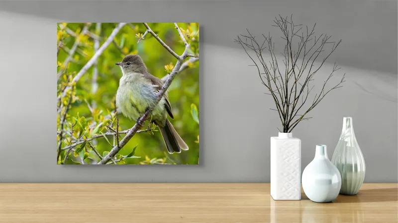 Tablou Canvas, "Pasărea cântătoare în crângul verde", Fermecător, Blând, Natură, Pene, Ramură, Verde, Fragil, Sălbatic, Primăvară, 50 x 50 cm – poza 3