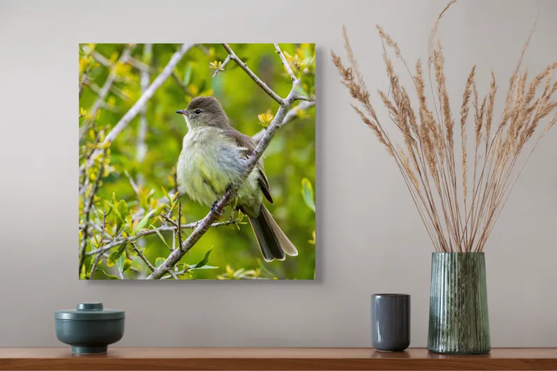 Tablou Canvas, "Pasărea cântătoare în crângul verde", Fermecător, Blând, Natură, Pene, Ramură, Verde, Fragil, Sălbatic, Primăvară, 50 x 50 cm – poza 4