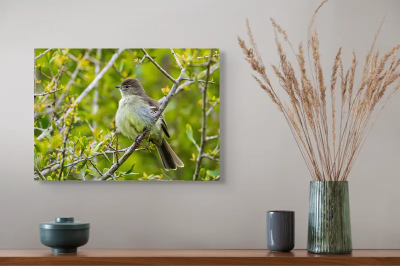 Tablou Canvas, "Pasărea cântătoare în crângul verde", Fermecător, Blând, Natură, Pene, Ramură, Verde, Fragil, Sălbatic, Primăvară, 54 x 39 cm – poza 4