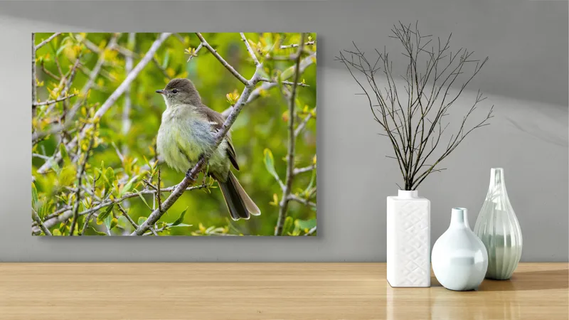 Tablou Canvas, "Pasărea cântătoare în crângul verde", Fermecător, Blând, Natură, Pene, Ramură, Verde, Fragil, Sălbatic, Primăvară, 70 x 50 cm – poza 3