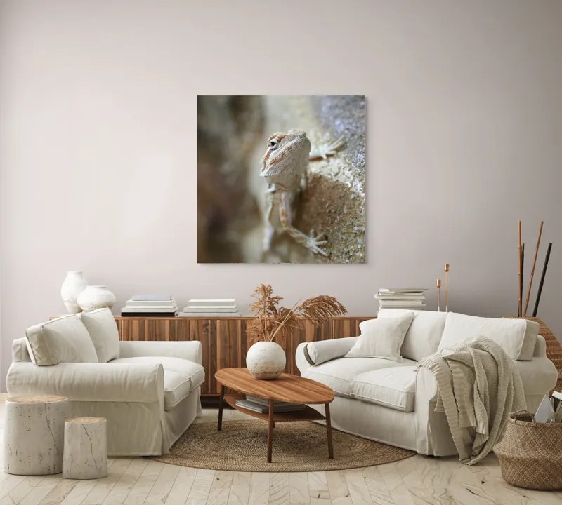Tablou Canvas, "Un mic dragon pe stâncă ", Șopârlă, Culoare, Textură, Privire, Perete, Camuflaj, Natură, Detaliu., 100 x 100 cm – poza 3