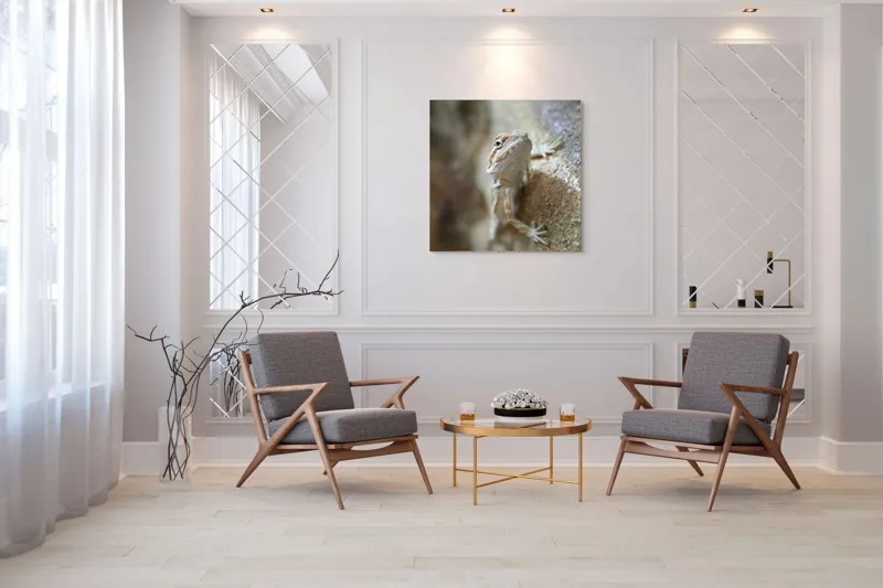 Tablou Canvas, "Un mic dragon pe stâncă ", Șopârlă, Culoare, Textură, Privire, Perete, Camuflaj, Natură, Detaliu., 100 x 100 cm – poza 7