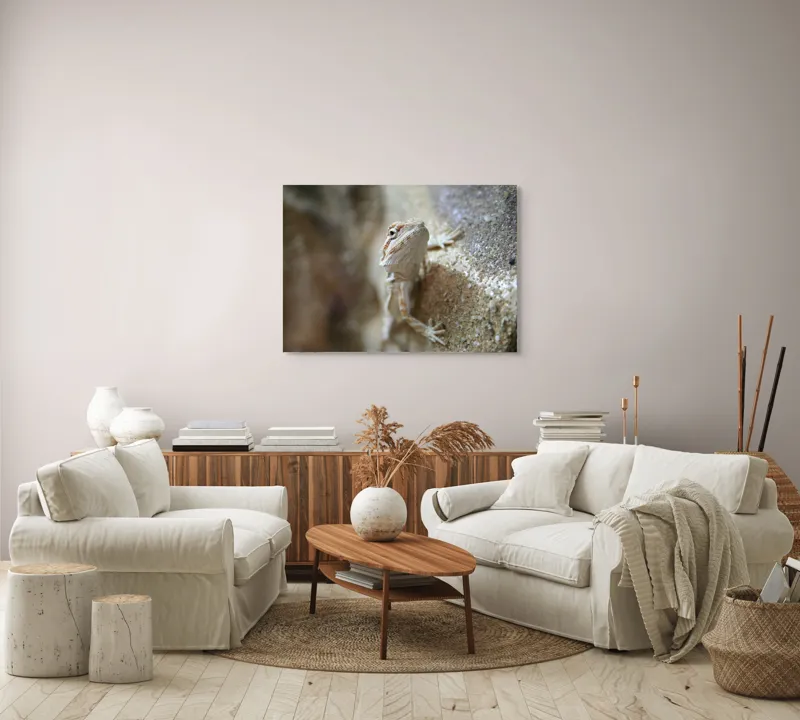 Tablou Canvas, "Un mic dragon pe stâncă ", Șopârlă, Culoare, Textură, Privire, Perete, Camuflaj, Natură, Detaliu., 100 x 70 cm – poza 3