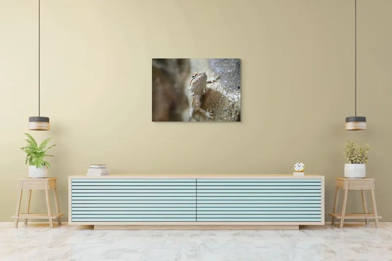 Tablou Canvas, "Un mic dragon pe stâncă ", Șopârlă, Culoare, Textură, Privire, Perete, Camuflaj, Natură, Detaliu., 100 x 70 cm – poza 4