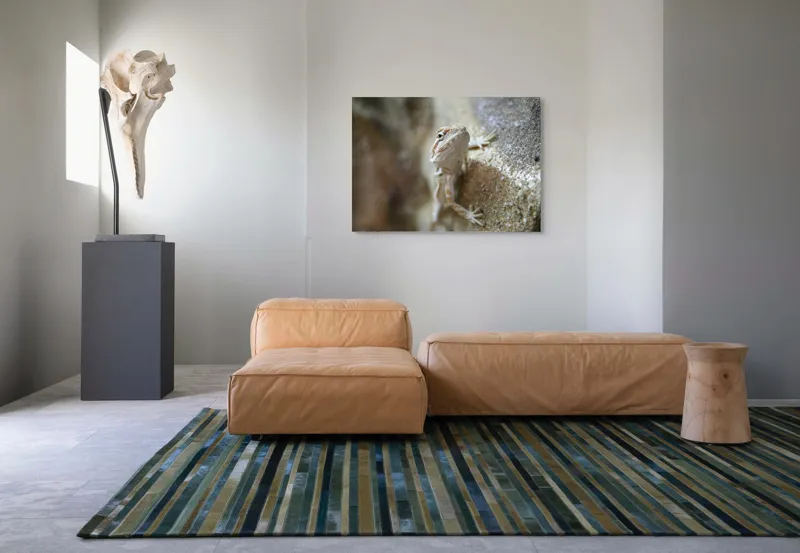 Tablou Canvas, "Un mic dragon pe stâncă ", Șopârlă, Culoare, Textură, Privire, Perete, Camuflaj, Natură, Detaliu., 100 x 70 cm – poza 7