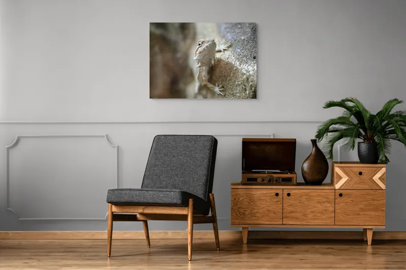 Tablou Canvas, "Un mic dragon pe stâncă ", Șopârlă, Culoare, Textură, Privire, Perete, Camuflaj, Natură, Detaliu., 100 x 70 cm – poza 8