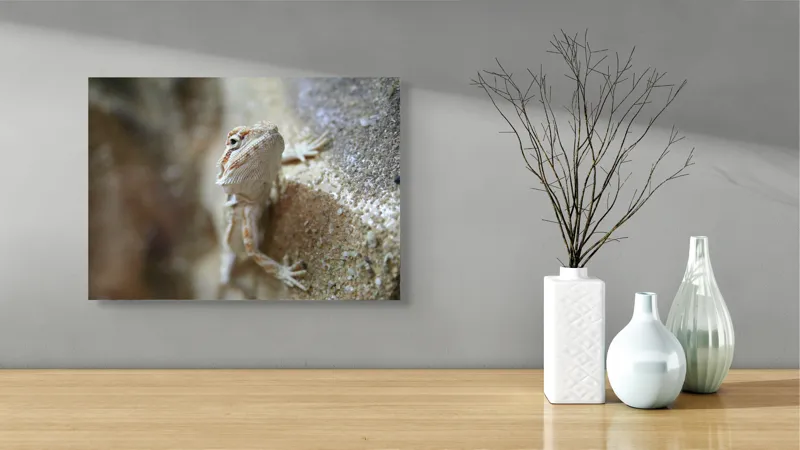 Tablou Canvas, "Un mic dragon pe stâncă ", Șopârlă, Culoare, Textură, Privire, Perete, Camuflaj, Natură, Detaliu., 54 x 39 cm – poza 3
