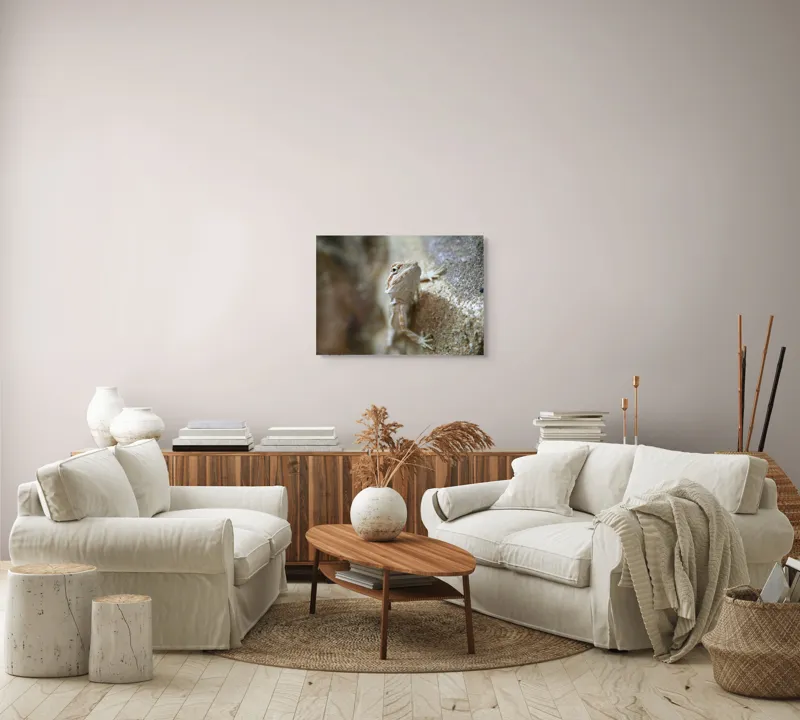 Tablou Canvas, "Un mic dragon pe stâncă ", Șopârlă, Culoare, Textură, Privire, Perete, Camuflaj, Natură, Detaliu., 70 x 50 cm – poza 6