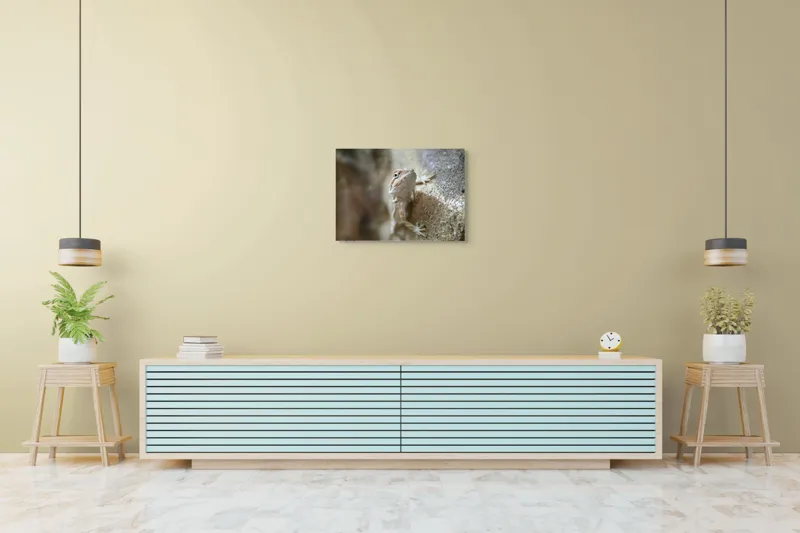Tablou Canvas, "Un mic dragon pe stâncă ", Șopârlă, Culoare, Textură, Privire, Perete, Camuflaj, Natură, Detaliu., 70 x 50 cm – poza 7