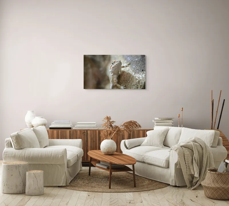 Tablou Canvas, "Un mic dragon pe stâncă ", Șopârlă, Culoare, Textură, Privire, Perete, Camuflaj, Natură, Detaliu., 90 x 50 cm – poza 4