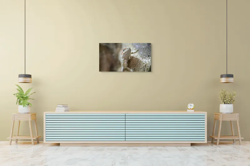 Tablou Canvas, "Un mic dragon pe stâncă ", Șopârlă, Culoare, Textură, Privire, Perete, Camuflaj, Natură, Detaliu., 90 x 50 cm – poza 5