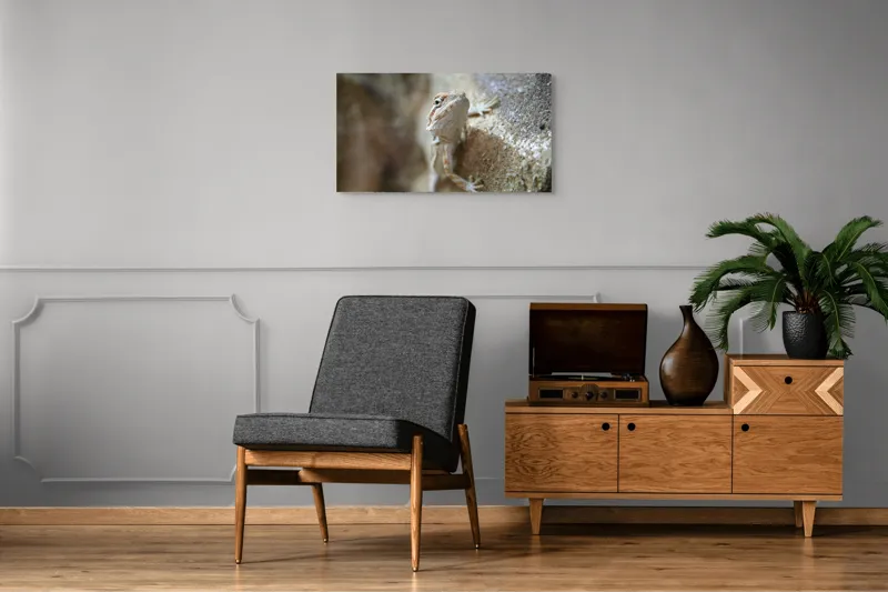 Tablou Canvas, "Un mic dragon pe stâncă ", Șopârlă, Culoare, Textură, Privire, Perete, Camuflaj, Natură, Detaliu., 90 x 50 cm – poza 6