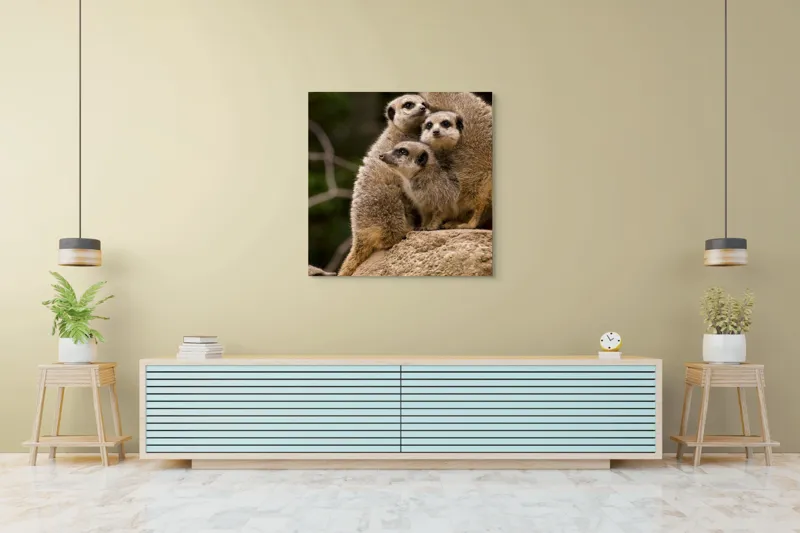 Tablou Canvas, "Suricatele veghează pe stâncă împreună", Meerkat, Grup, Vigilență, Blană, Curiozitate, Piatră, Natură, Familie, 100 x 100 cm – poza 5